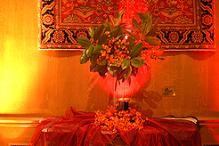 BIG BROTHERS BIG SISTERS GALA